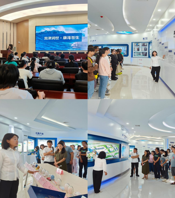 1688974300792041454.png image.png