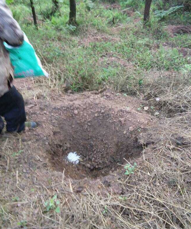 ʯ��ɽ����ʩ�׷�����ľ�޼�����ֲ2.png