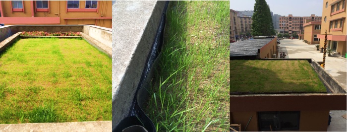 5 �ݶ��̻� ����.jpg